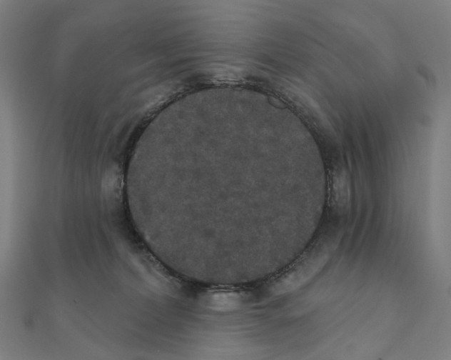 X0000111420228200908101102