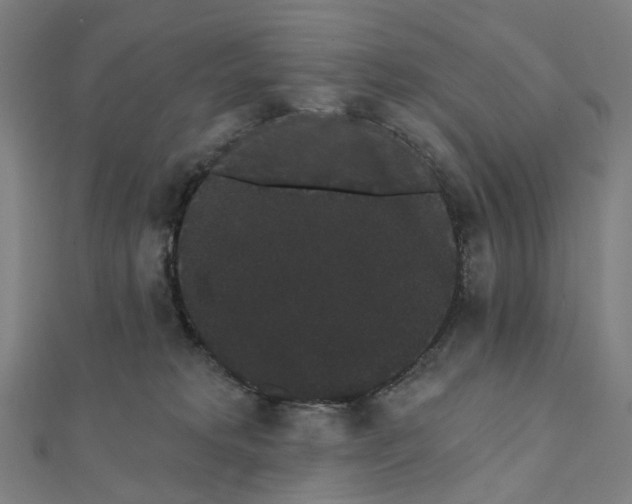 X0000111420229200908101102