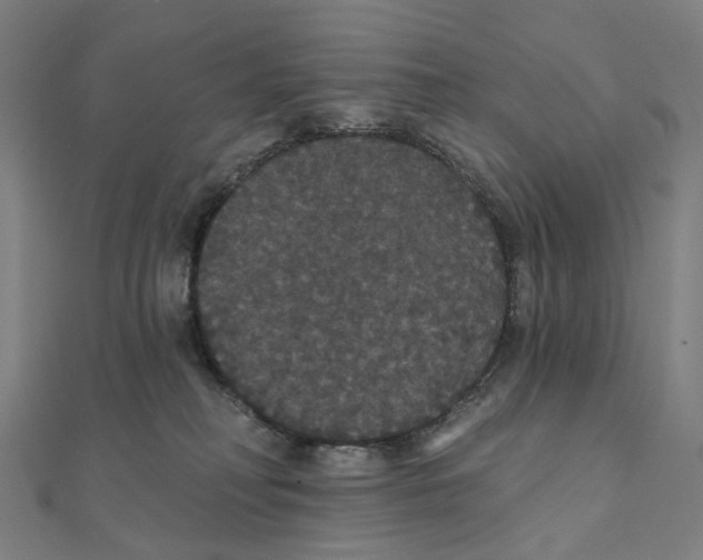 X0000111420230200908101102