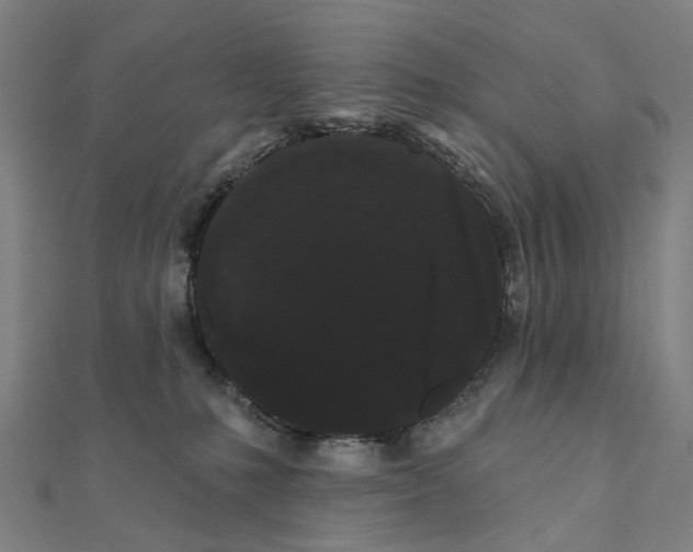 X0000111420231200908101102