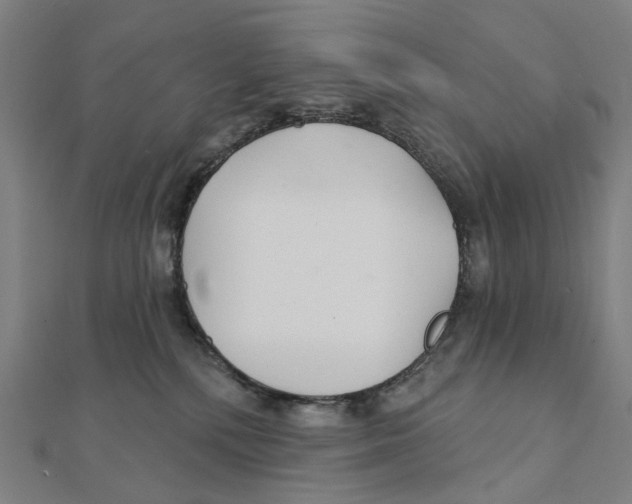 X0000111420232200908101102