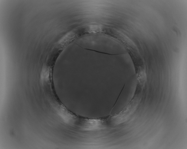X0000111420233200908101102