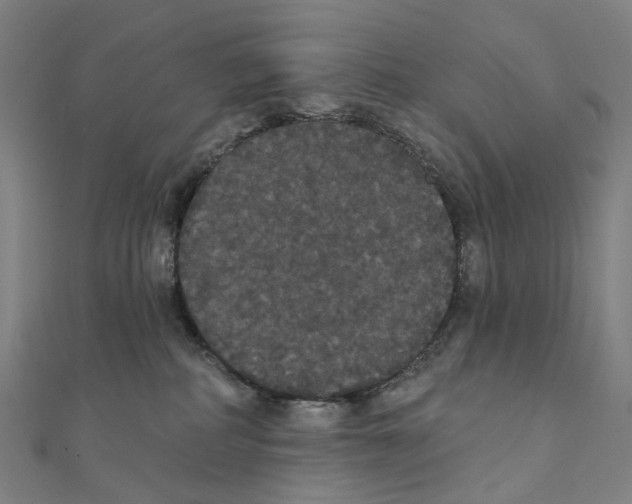 X0000111420234200908101102