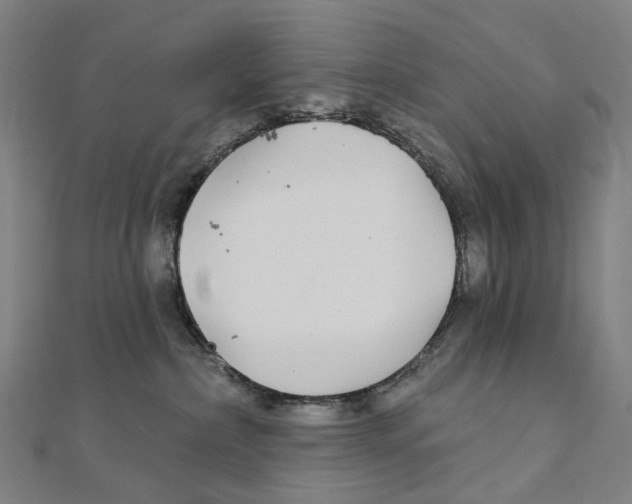 X0000111420236200908101102