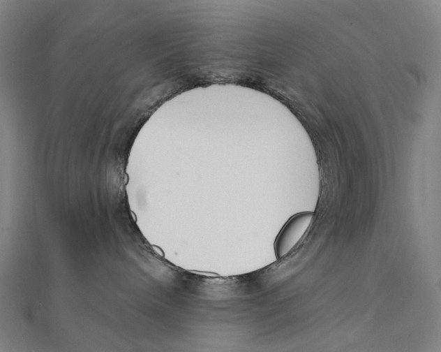 X0000111420240200908101102