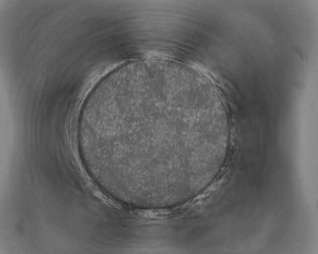 X0000111420241200908101101
