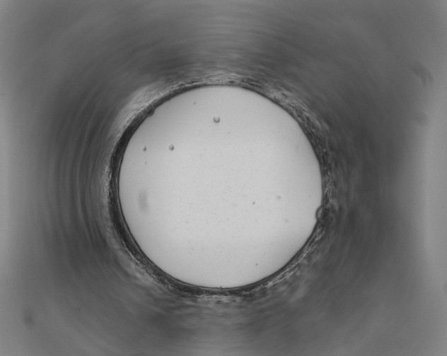 X0000111420242200908101101