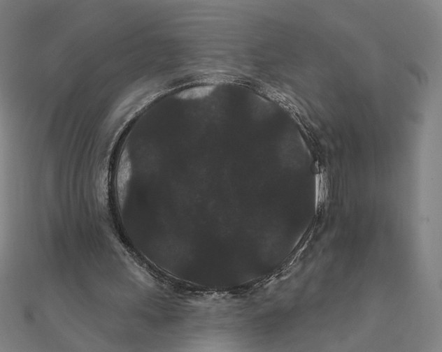X0000111420243200908101101