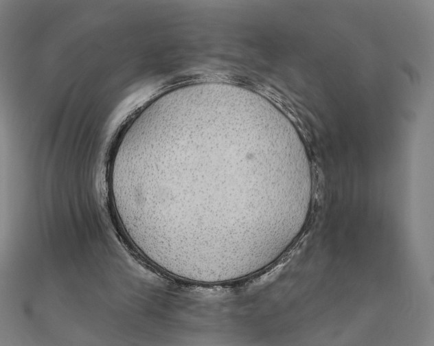 X0000111420245200908101101
