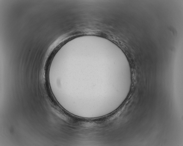 X0000111420246200908101101
