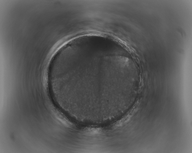 X0000111420247200908101101