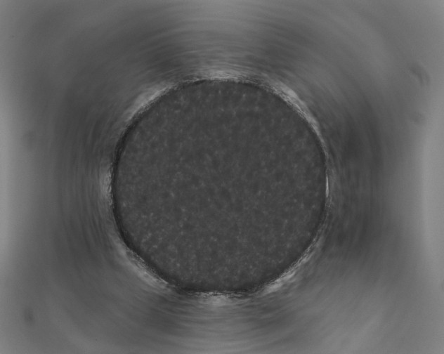 X0000111420249200908101101