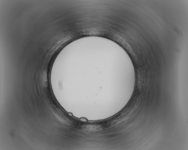 X0000111420251200908101101