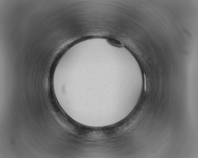 X0000111420252200908101101