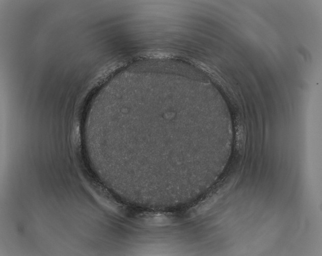 X0000111420254200908101101