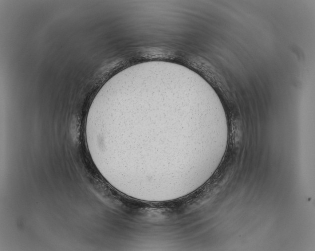 X0000111420255200908101101