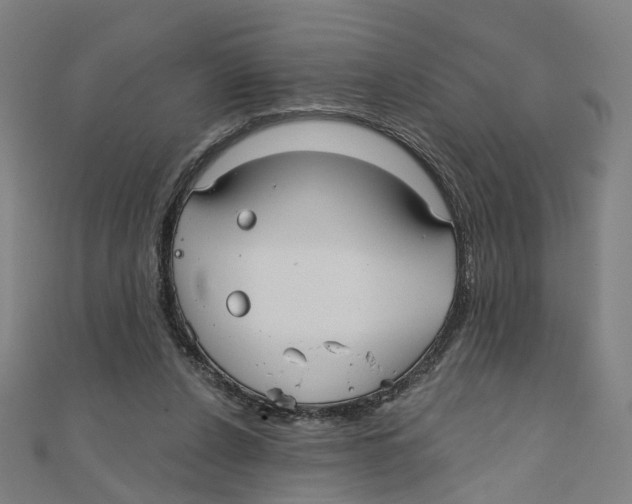 X0000111420256200908101101