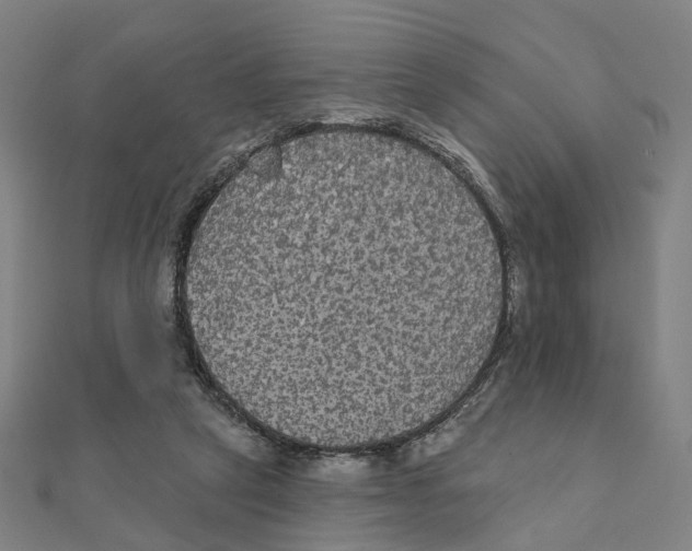 X0000111420257200908101101
