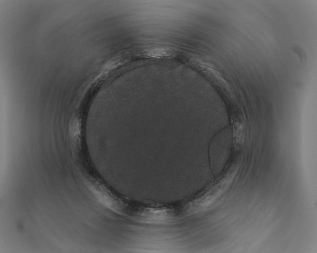 X0000111420260200908101102