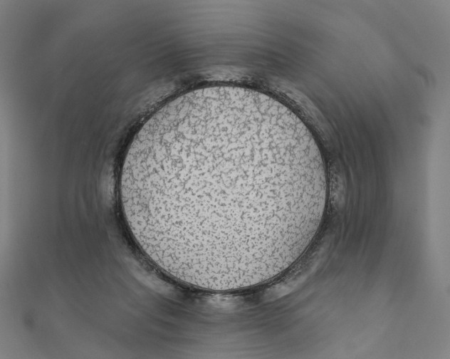 X0000111420261200908101102