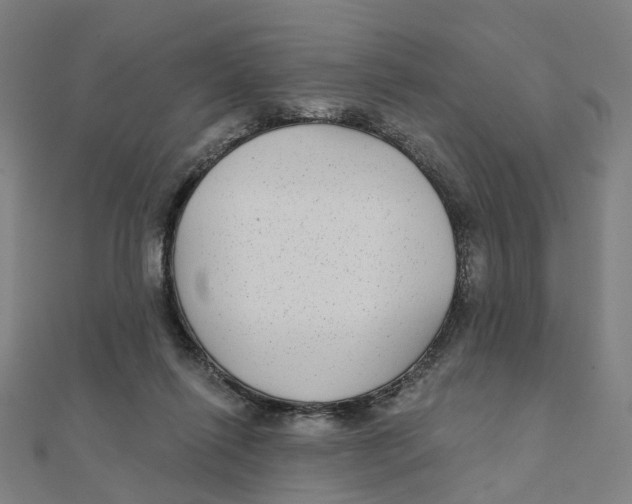 X0000111420262200908101102