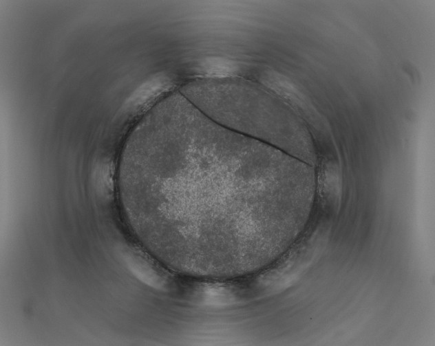 X0000111420264200908101102