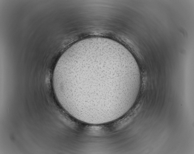 X0000111420265200908101102