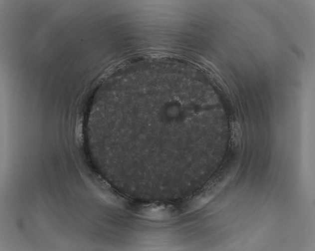 X0000111420267200908101102