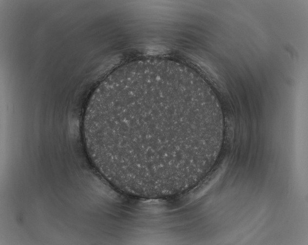 X0000111420269200908101102