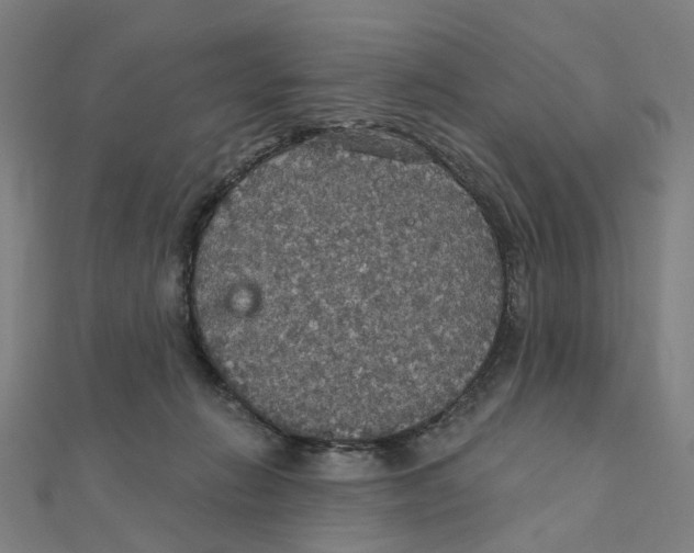 X0000111420270200908101102