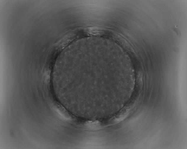 X0000111420271200908101102