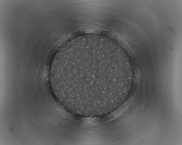 X0000111420273200908101102