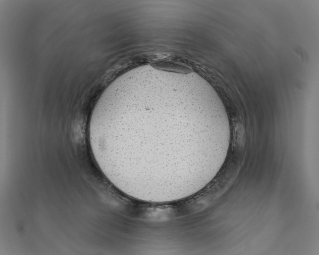 X0000111420274200908101102
