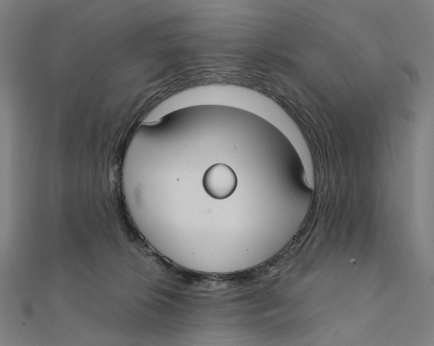 X0000111420276200908101102