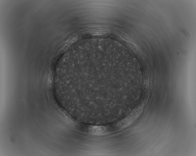 X0000111420277200908101102