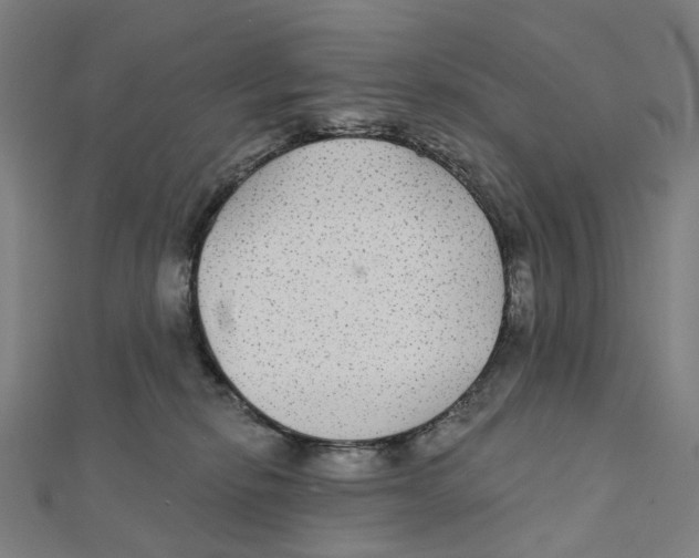 X0000111420278200908101102