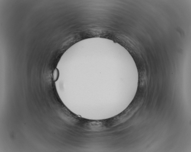 X0000111420279200908101102
