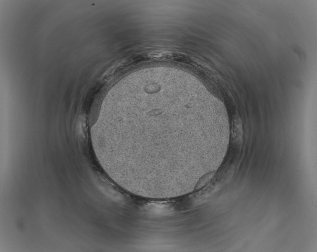 X0000111420280200908101102