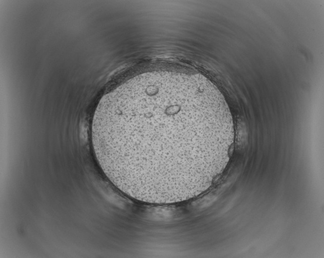 X0000111420282200908101102