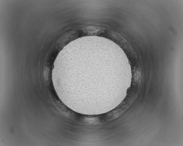 X0000111420283200908101102