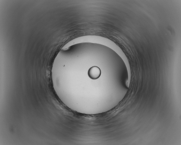 X0000111420284200908101102