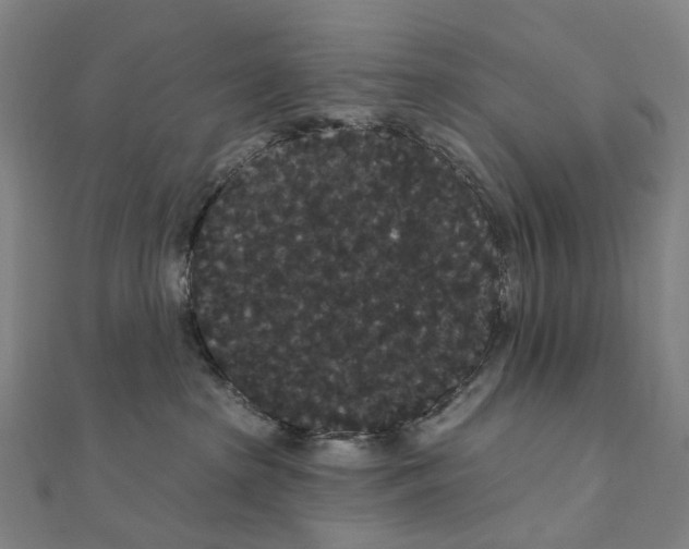 X0000111420285200908101102