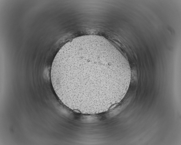 X0000111420286200908101102