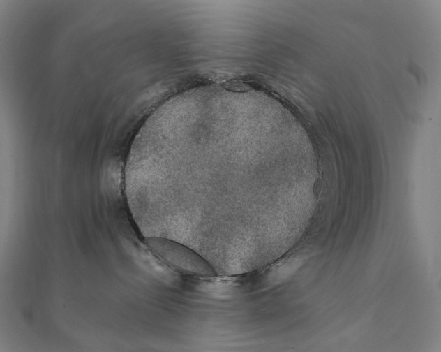 X0000111420288200908101102