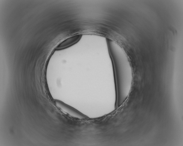 X0000111420289200908101101