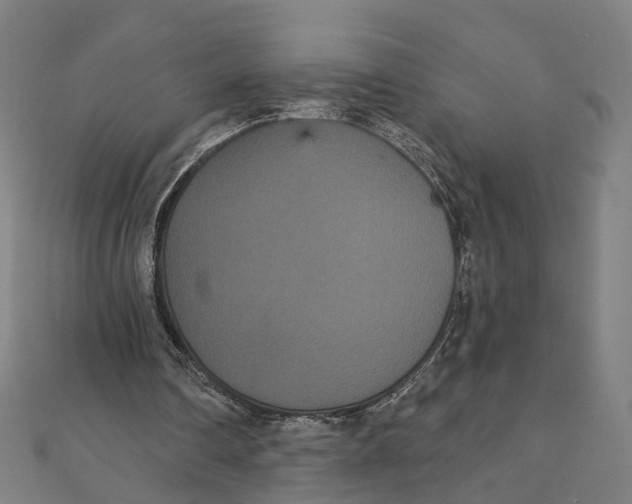 X0000111420290200908101101