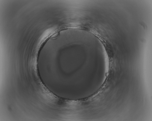 X0000111420293200908101101