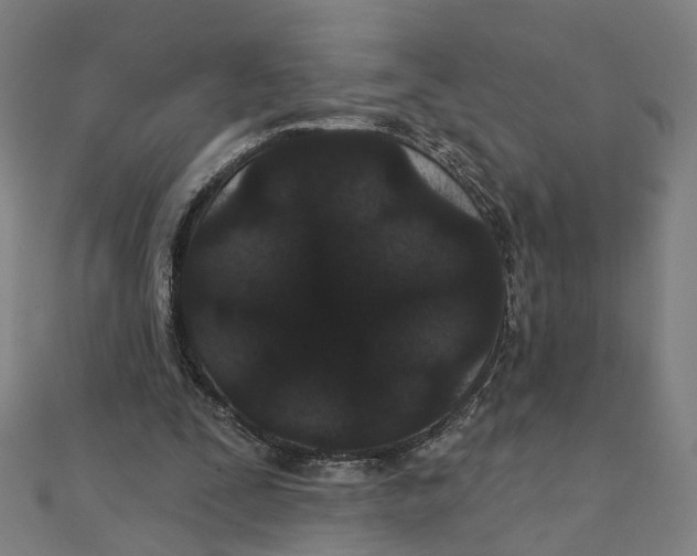 X0000111420295200908101101