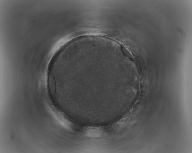 X0000111420296200908101101