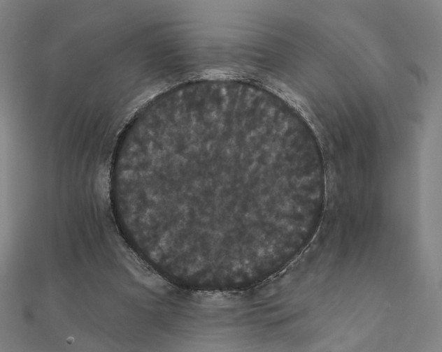 X0000111420297200908101101